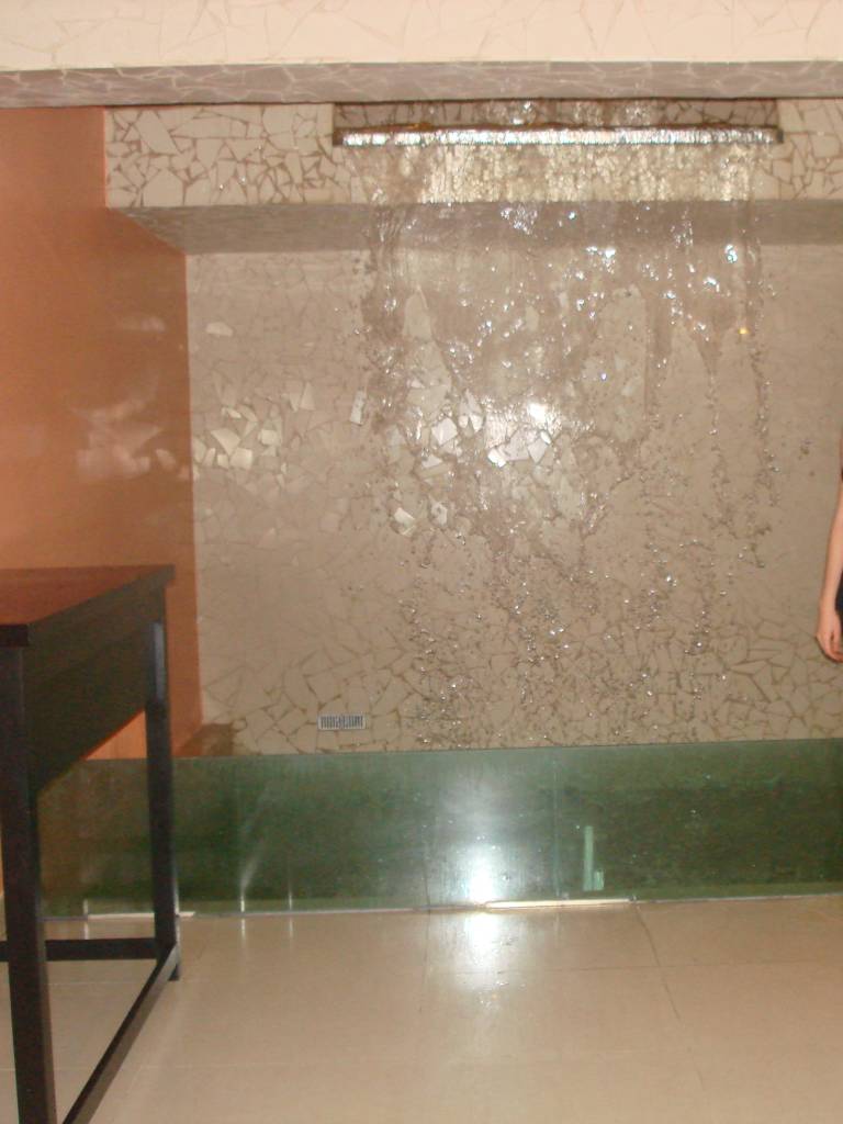 Photo de Zandra