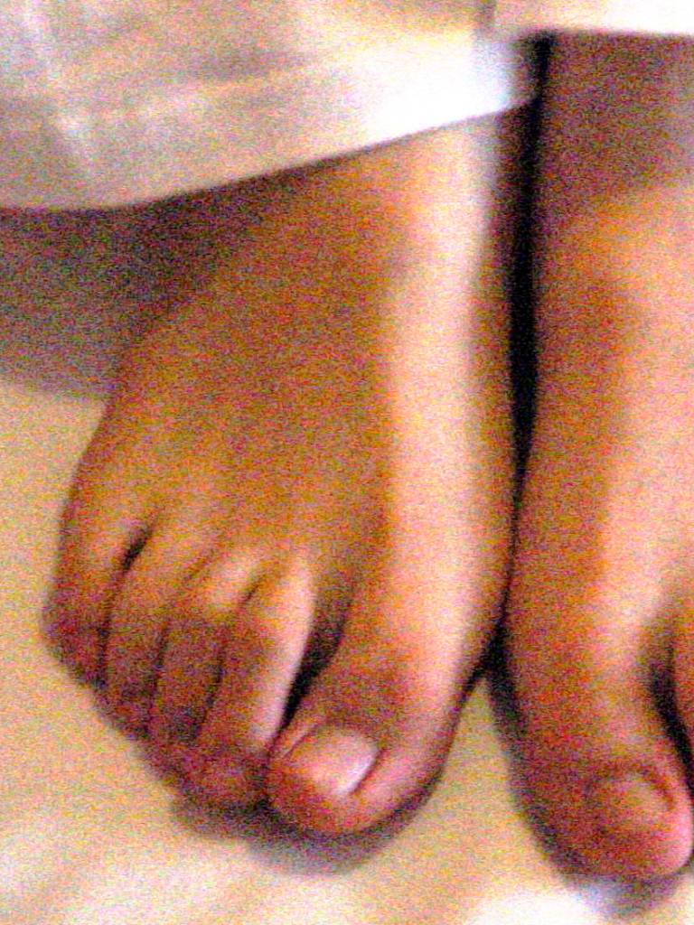 Photo de Tara 